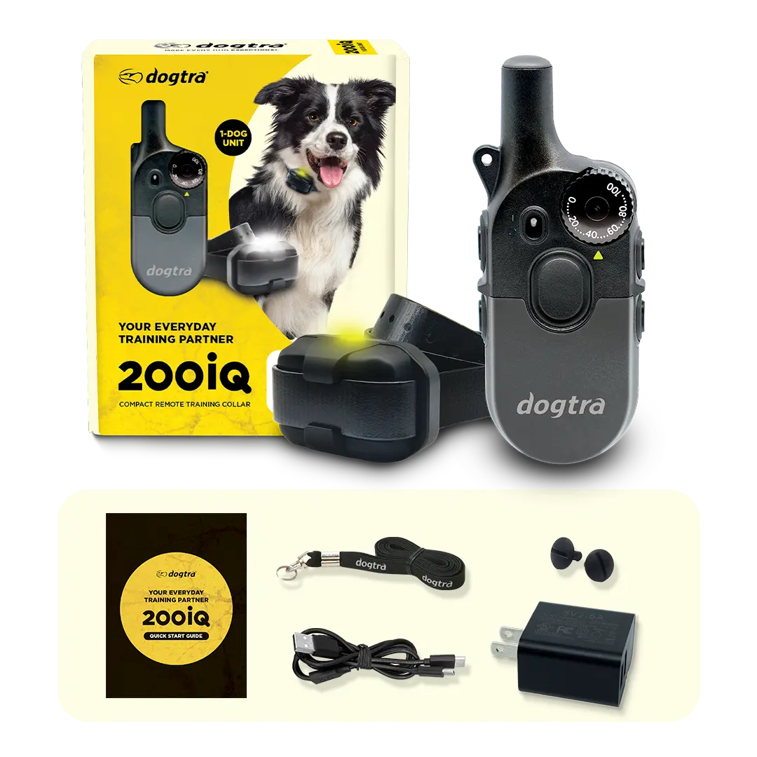 Dogtra 200iQ 1-Dog Unit