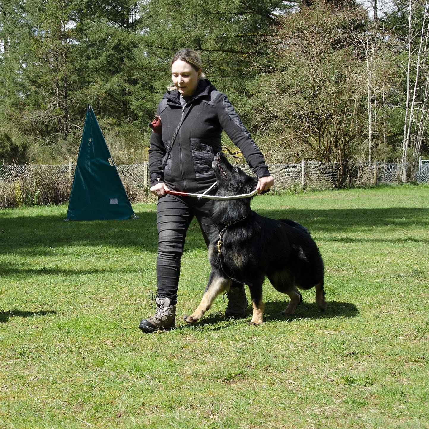 Heeling And Positioning Stick