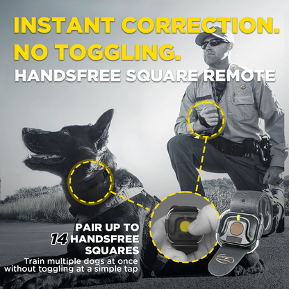 Dogtra 1900X Black Edition 1-Dog Unit