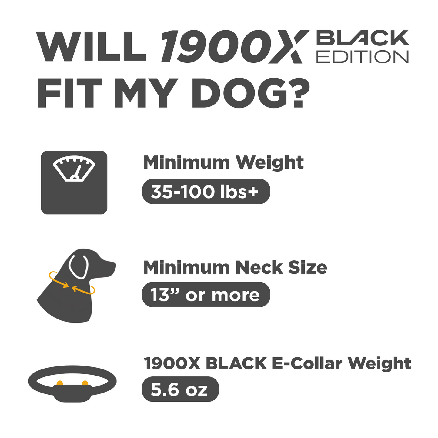 Dogtra 1900X Black Edition 1-Dog Unit