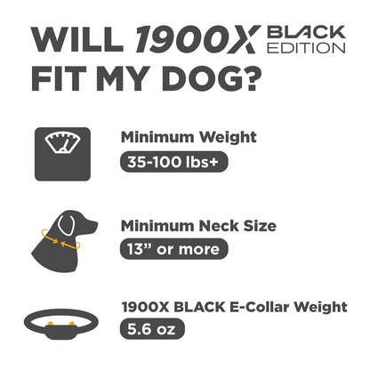 Dogtra 1900X Black Edition 1-Dog Unit