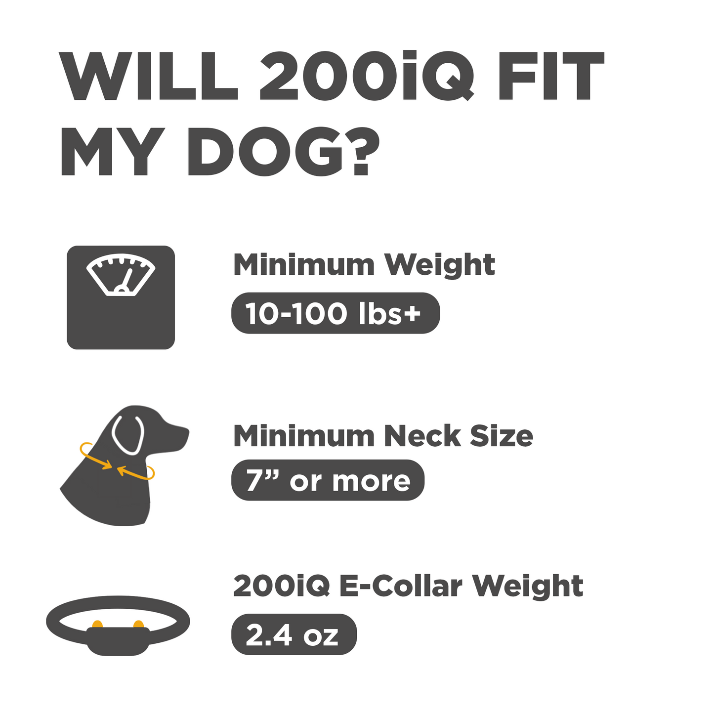 Dogtra 200iQ 1-Dog Unit