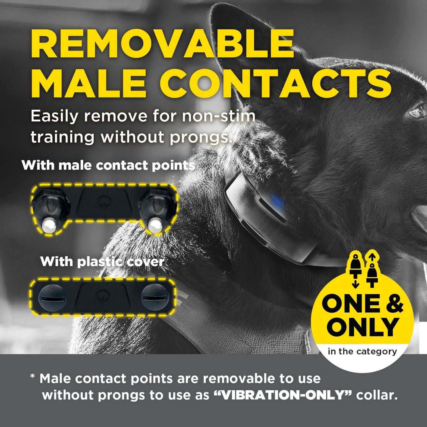 Dogtra 1900X Black Edition 1-Dog Unit