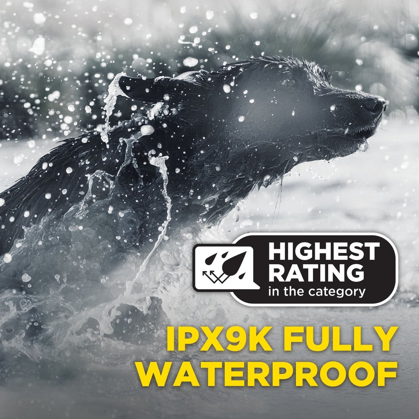 Dogtra 1900X Black Edition 1-Dog Unit