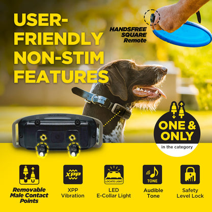 Dogtra 1900X Handsfree 1-Dog Unit
