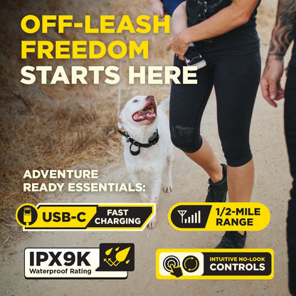 Dogtra 200iQ 1-Dog Unit