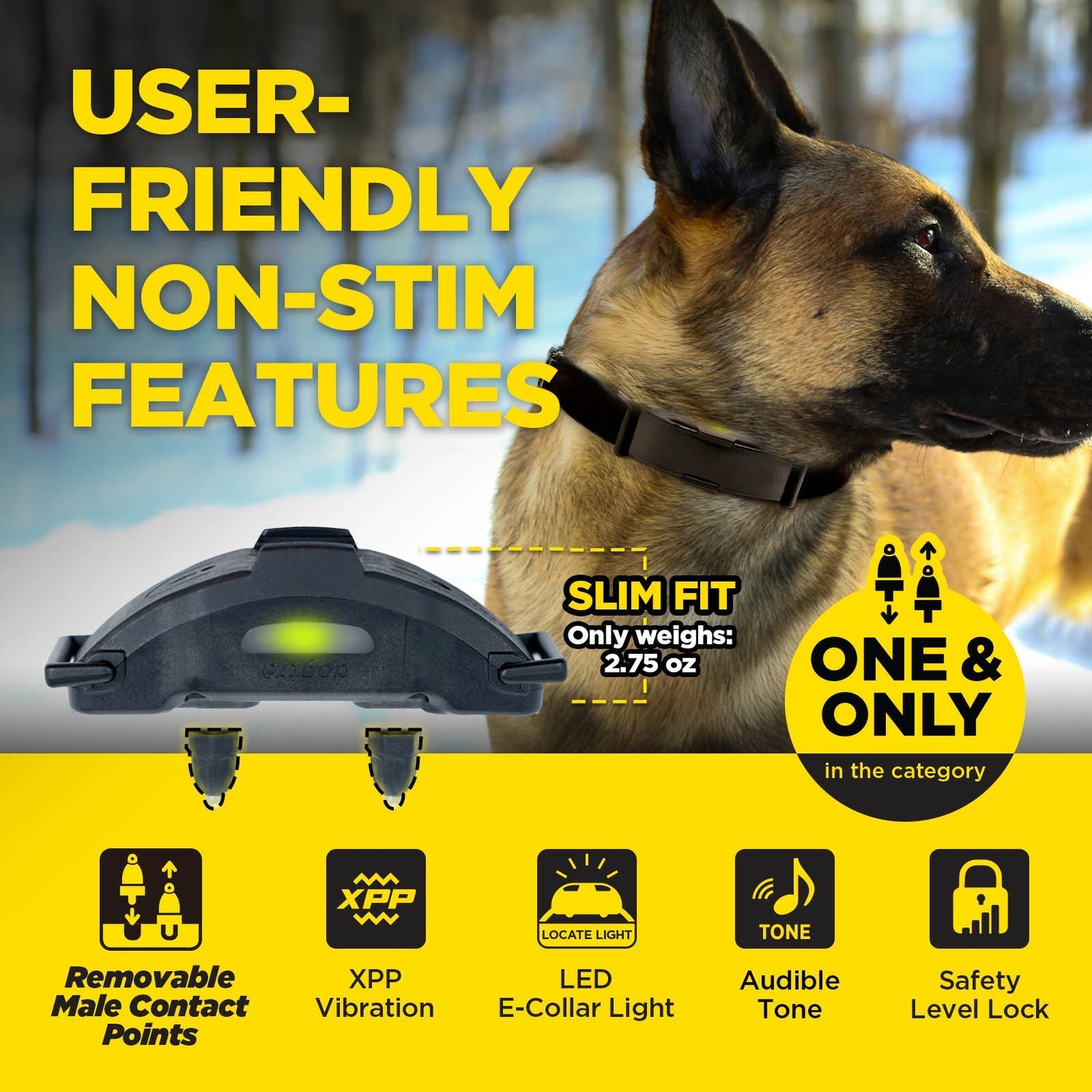 Dogtra ARC-X 1-Dog Unit – DogSport Gear