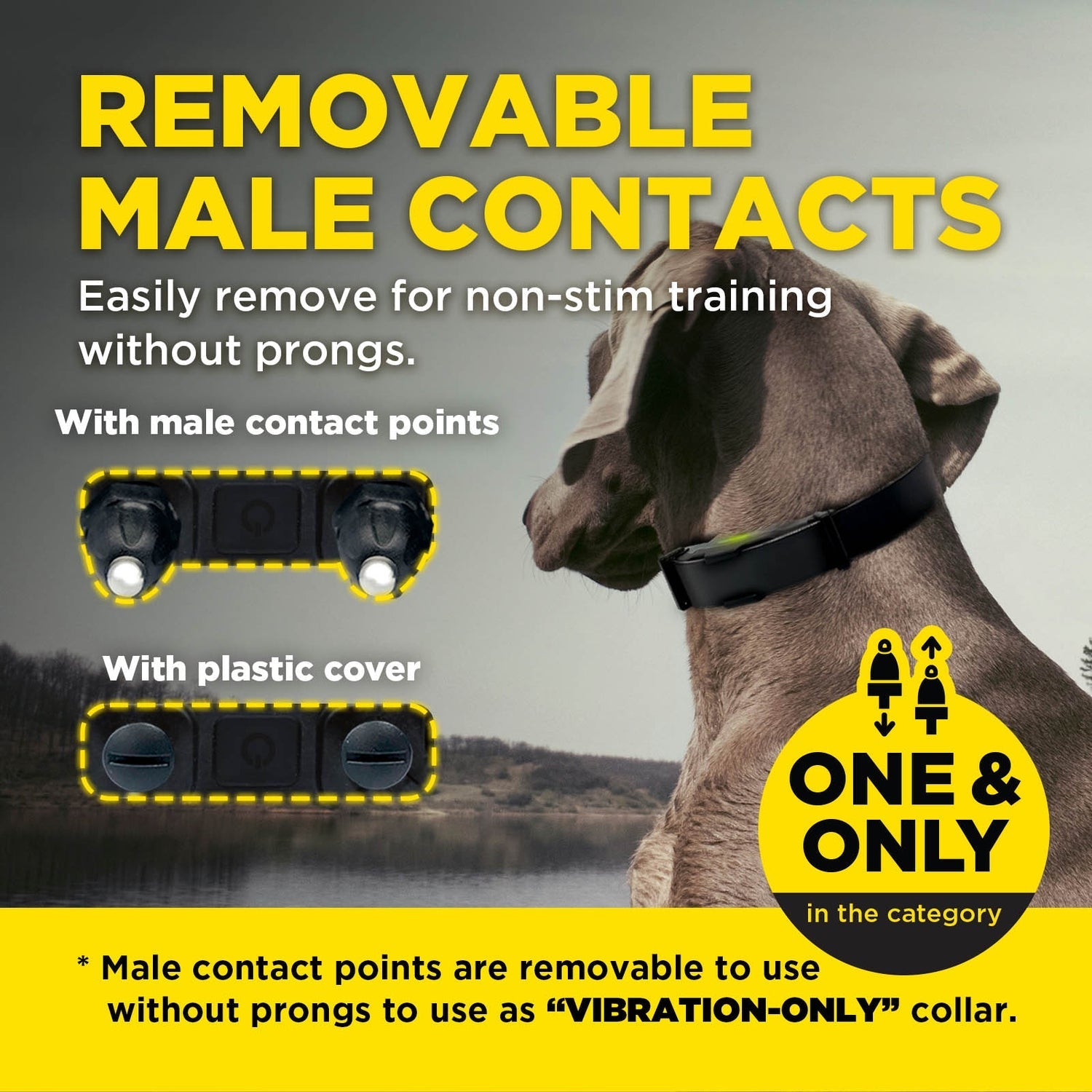 Dogtra ARC-X 1-Dog Unit – DogSport Gear