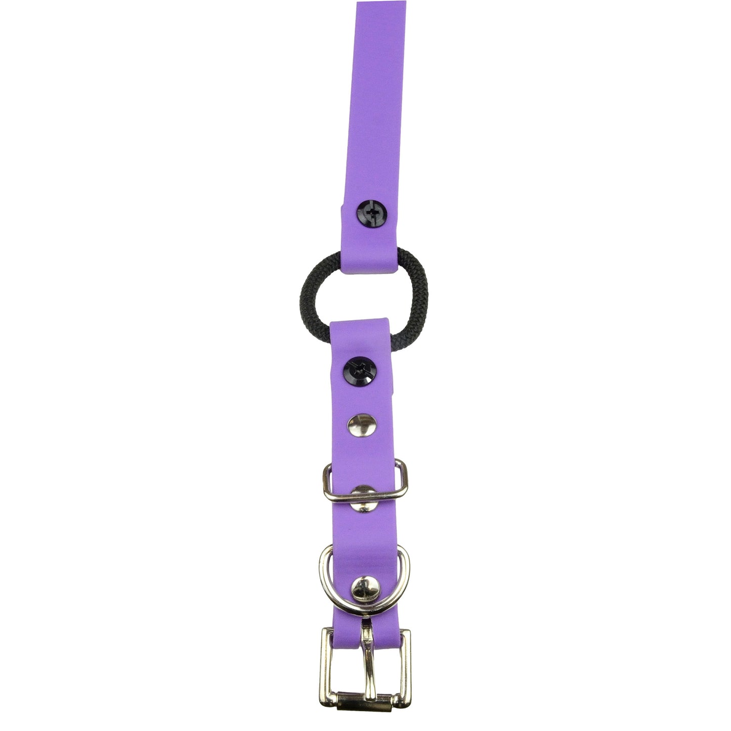 E-Collar Technologies 33" Biothane Collar with Buckle and Bungee