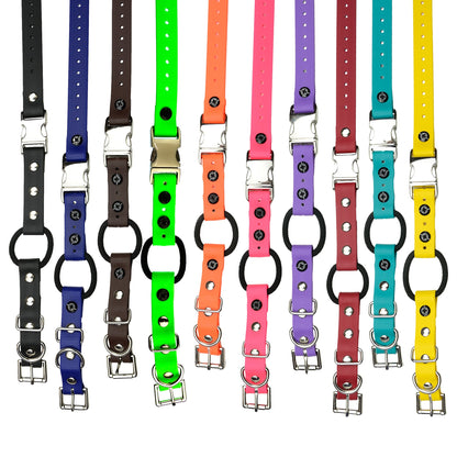 E-Collar Technologies 33" Biothane Collar with Quick Snap and Bungee