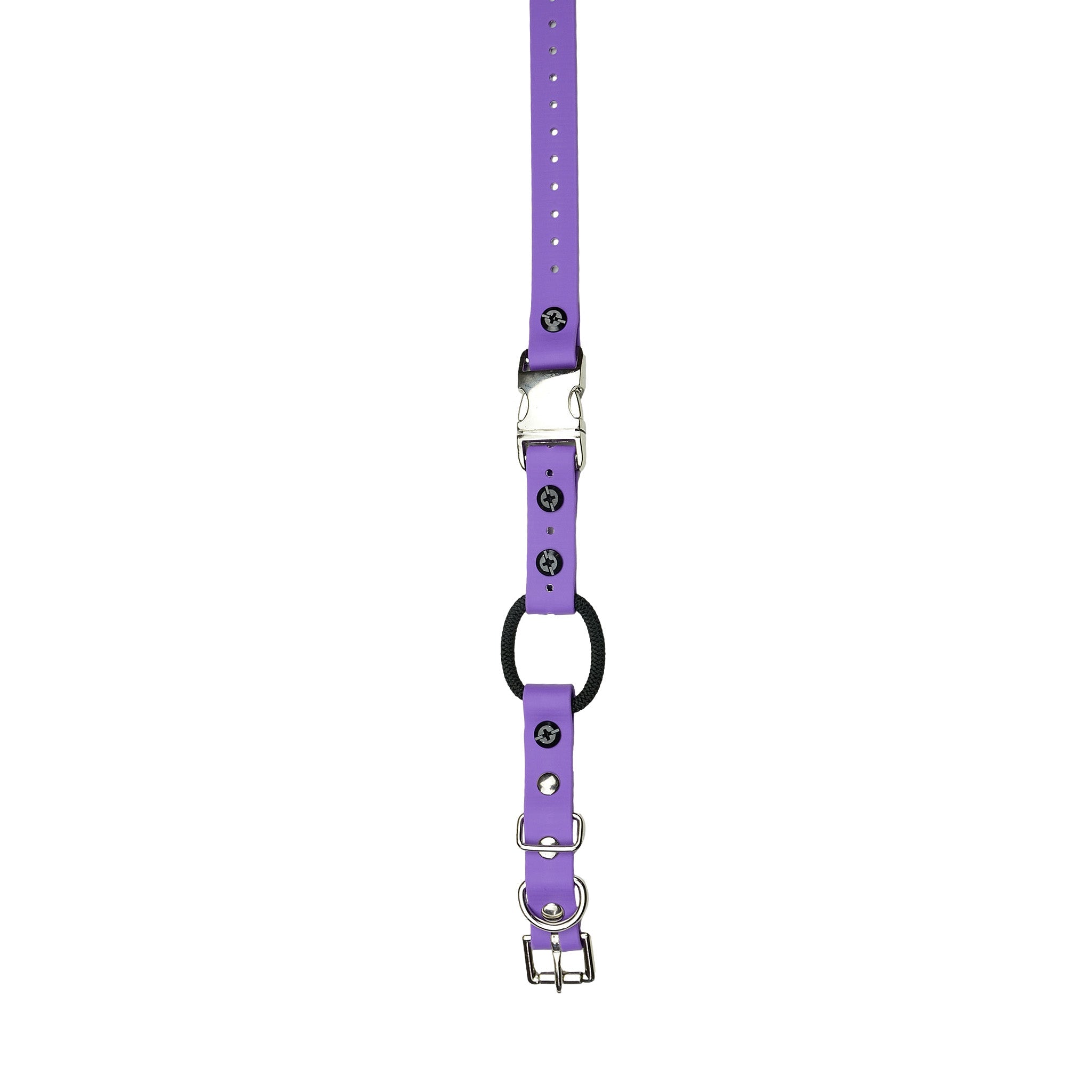 E-Collar Technologies 33