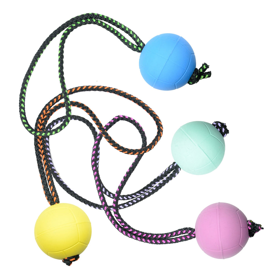 Reward Balls – DogSport Gear