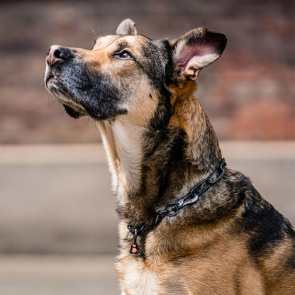 Sprenger Black Stainless Adjustable Fursaver with Hook - 3mm