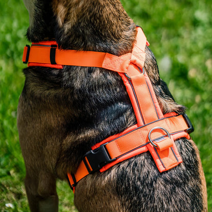 Sprenger Y-Harness 2.0