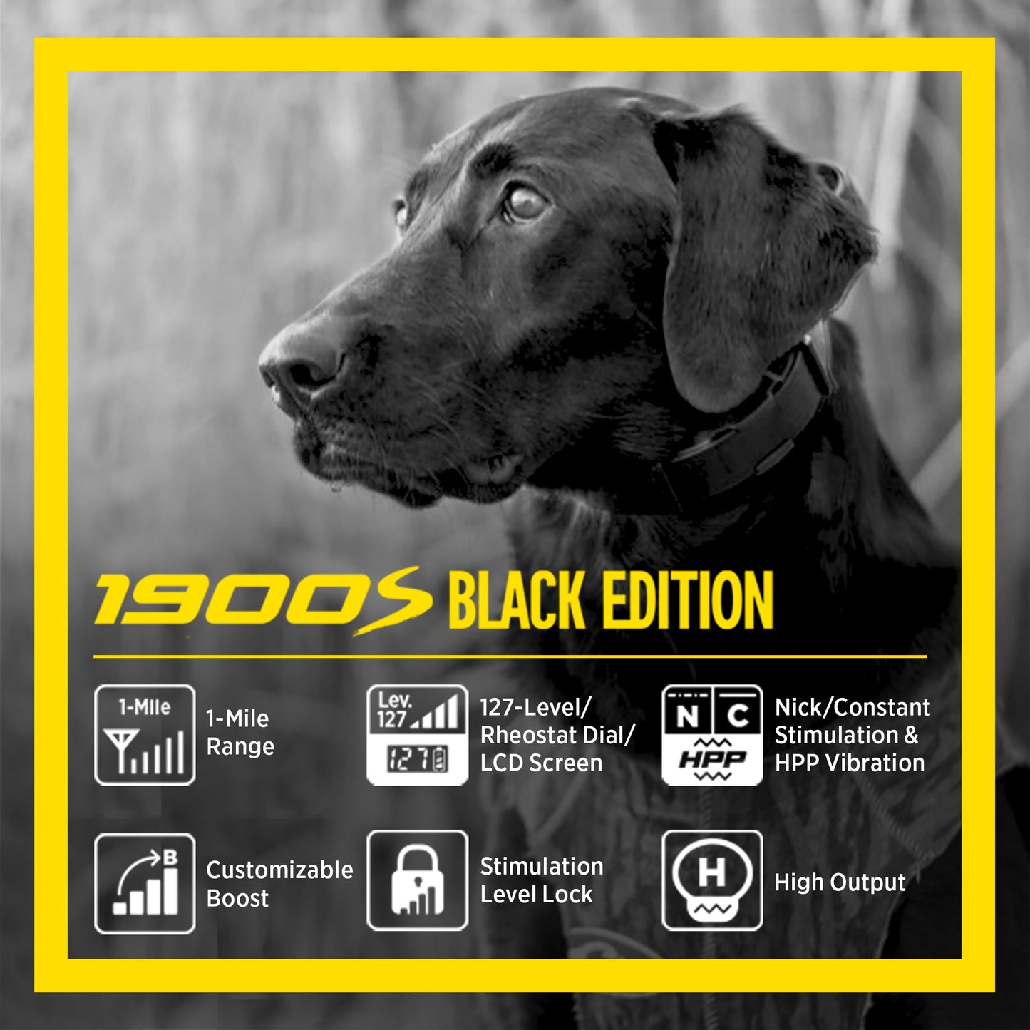 Dogtra 1900S Black Edition Boost & Lock