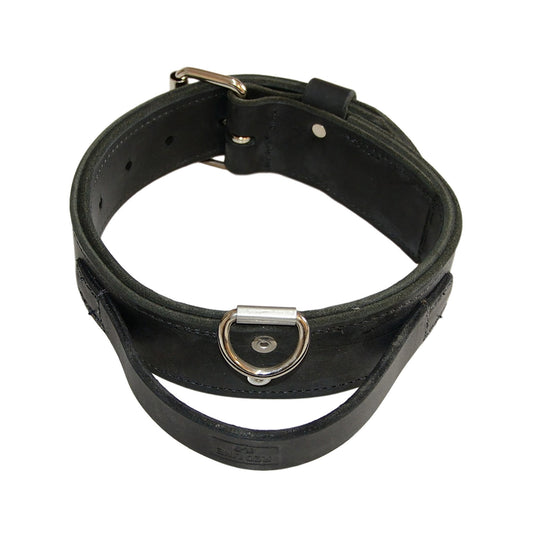 Double Leather Collar With Handle - 2" Wide