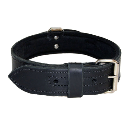 Leather Collar With Handle And Felt - 2" Wide