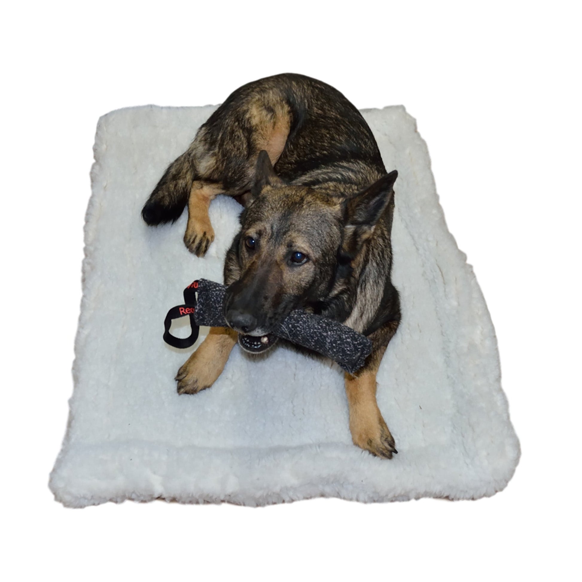 Redline K-9 Sherpa Crate Pad Or Bed – DogSport Gear
