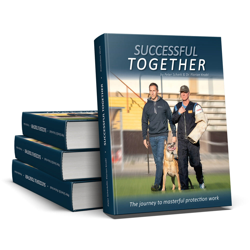 Successful Together - The Journey To Masterful Protection Work